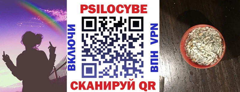 Псилоцибиновые грибы Psilocybe  darknet телеграм  Кизел  как найти закладки 